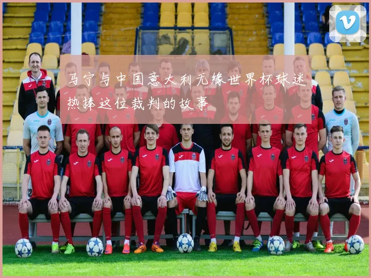 马宁与中国意大利无缘世界杯球迷热捧这位裁判的故事