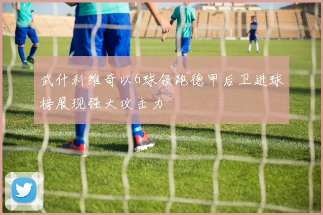武什科维奇以6球领跑德甲后卫进球榜展现强大攻击力